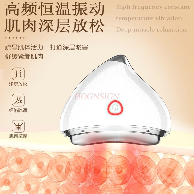 Masseur électrique Gua Sha EMS - Microcurrent Face Massager Gua Sha avis et prix