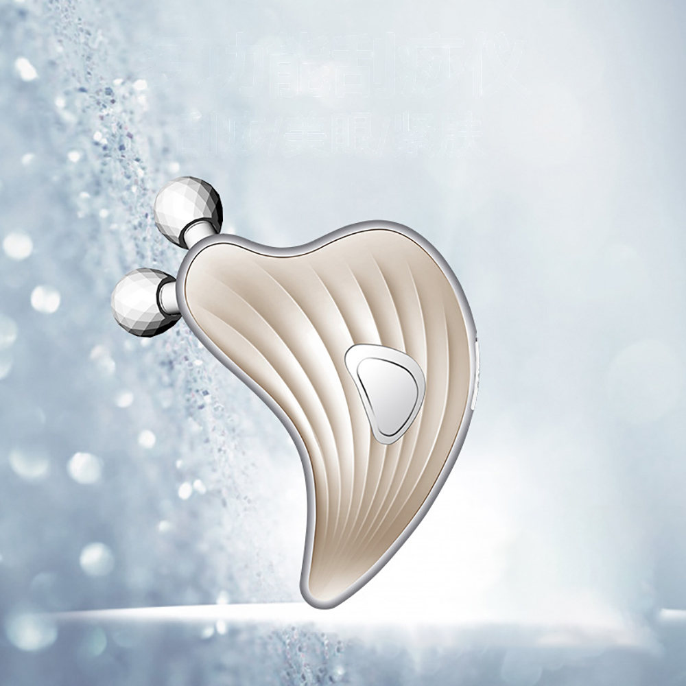 Masseur Facial électrique à mi - Microcurrent Face Massager Gua Sha avis et prix