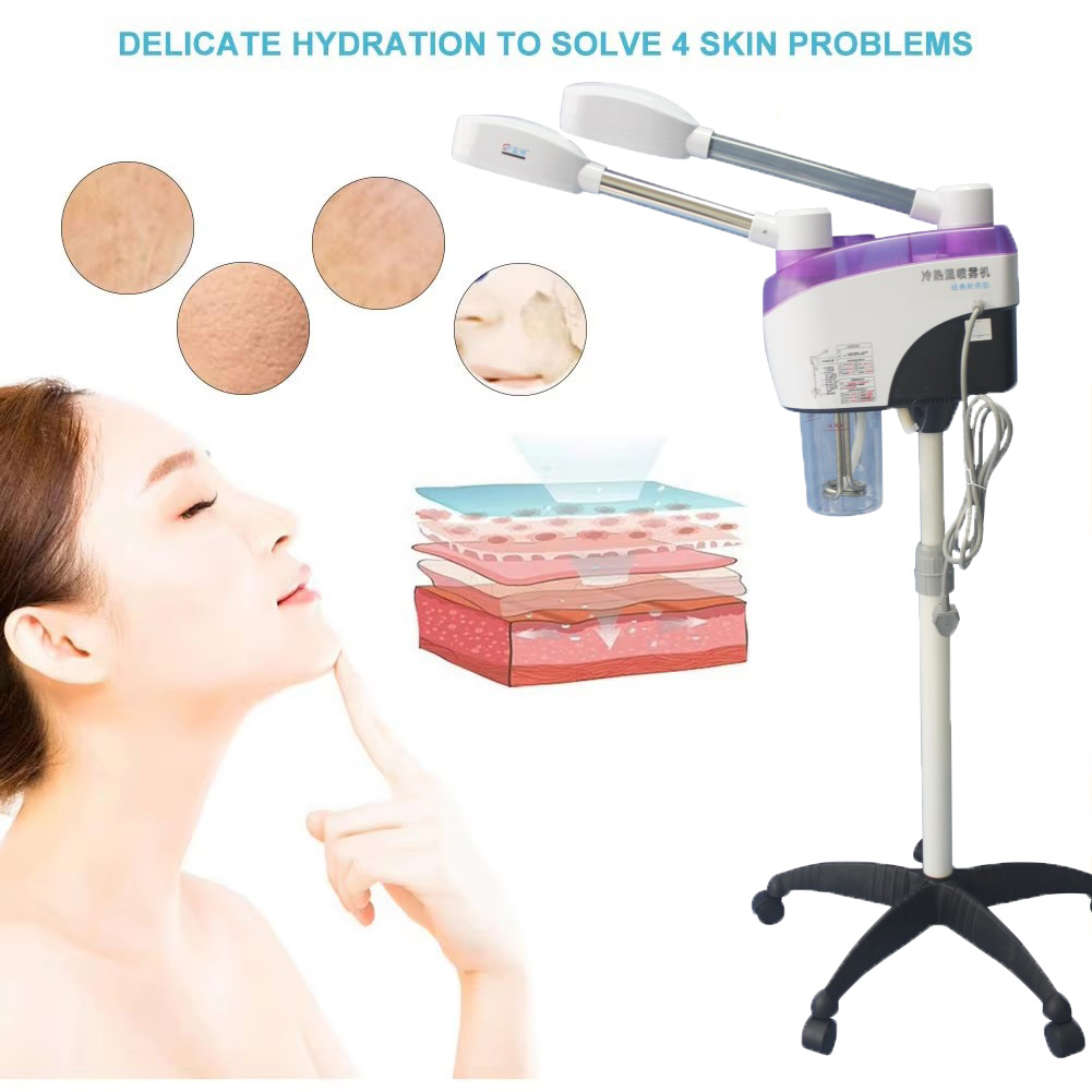 Vaporisateur facial multifonct - Facial Steamer Nano Ionic Hot Mist avis et prix