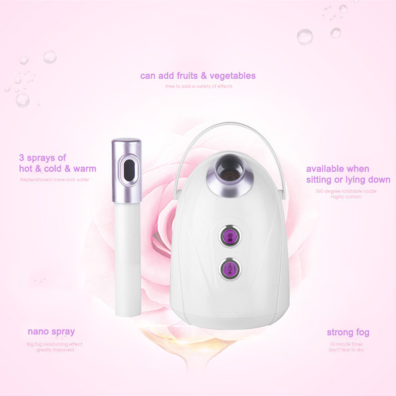 Appareil de soin du visage à u - Facial Steamer Nano Ionic Hot Mist avis et prix