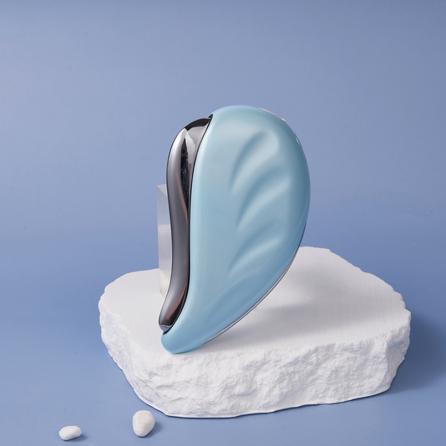 Masseur facial LED à micro-cou - Microcurrent Face Massager Gua Sha avis et prix